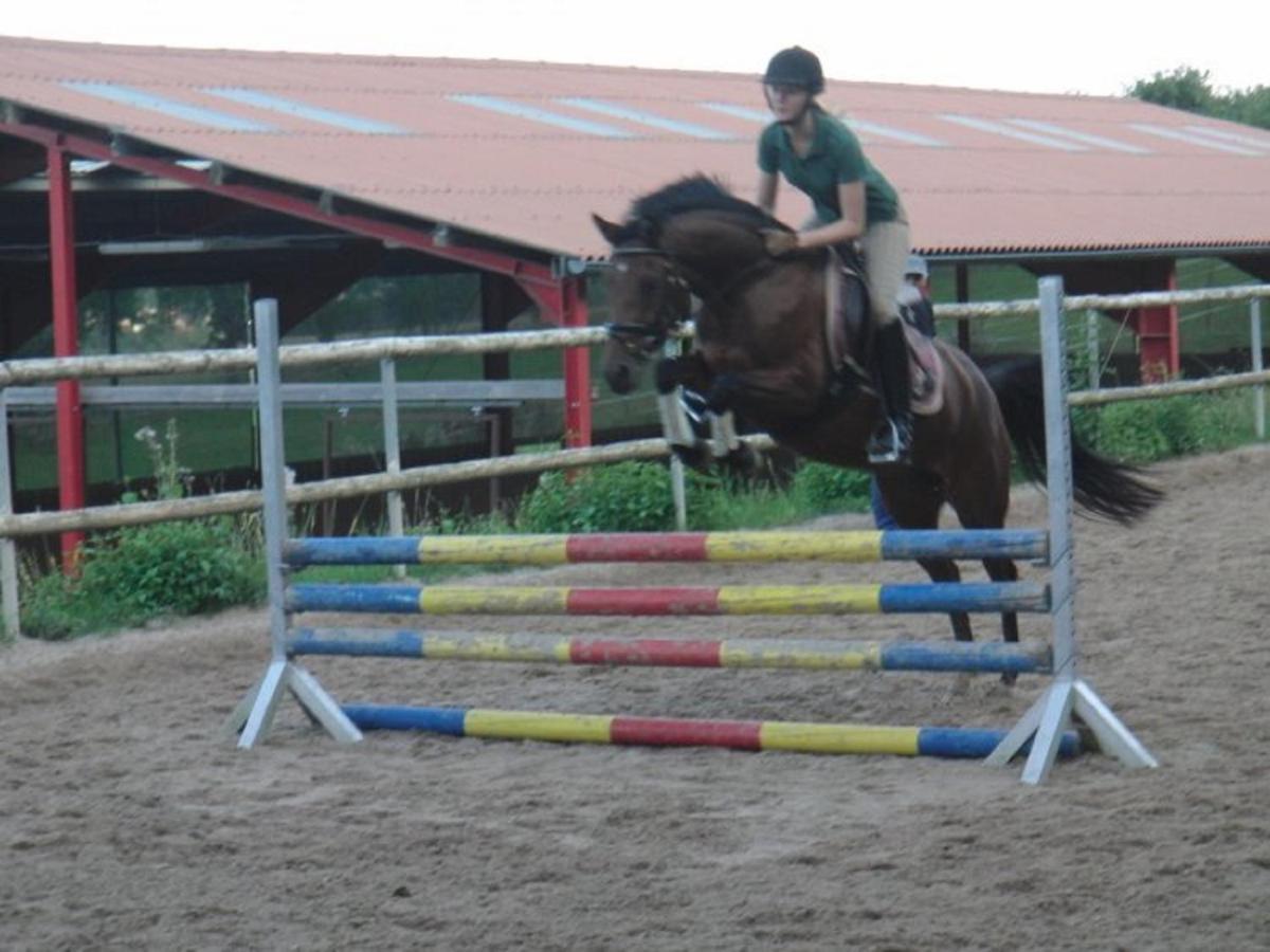 Ferienhof Pfeiffer Buchen  Zewnętrze zdjęcie