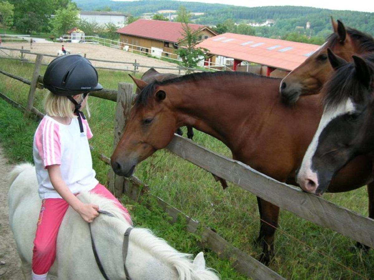 Ferienhof Pfeiffer Buchen  Zewnętrze zdjęcie