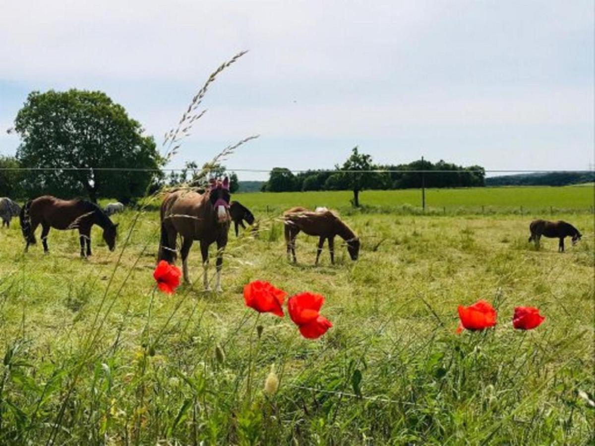 Ferienhof Pfeiffer Buchen  Zewnętrze zdjęcie