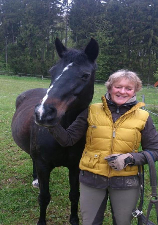 Ferienhof Pfeiffer Buchen  Zewnętrze zdjęcie