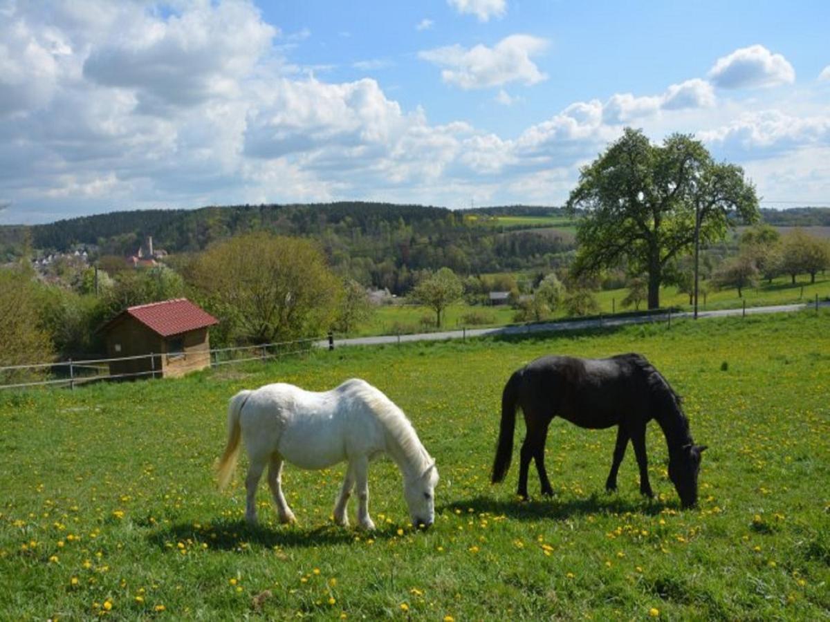 Ferienhof Pfeiffer Buchen  Zewnętrze zdjęcie
